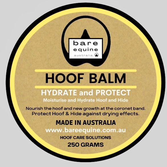 Hoof Balm - Hydrate and Protect freeshipping - Wild Rider