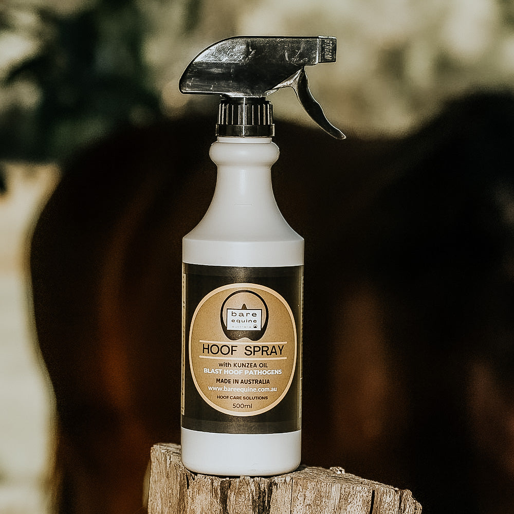 HOOF SPRAY - Blast Hoof Pathogens freeshipping - Wild Rider