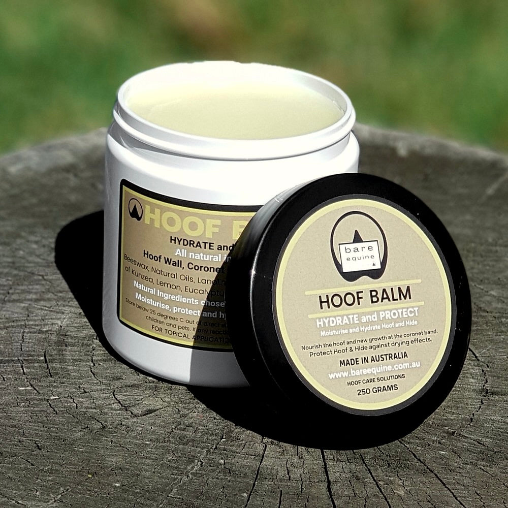 Hoof Balm - Hydrate and Protect freeshipping - Wild Rider