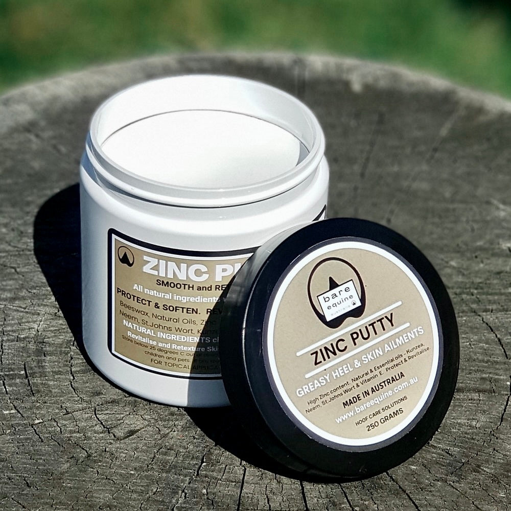 Zinc Putty - Greasy Heel and Skin Ailments freeshipping - Wild Rider