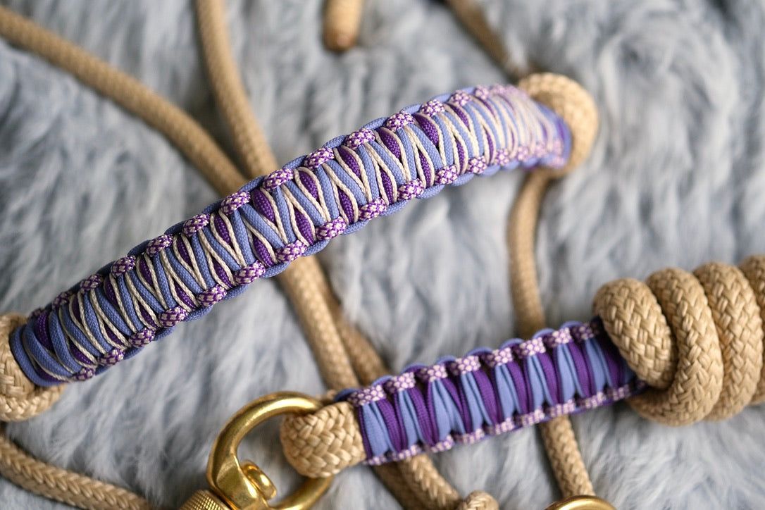 Frankie Halo Halter and Lead Set