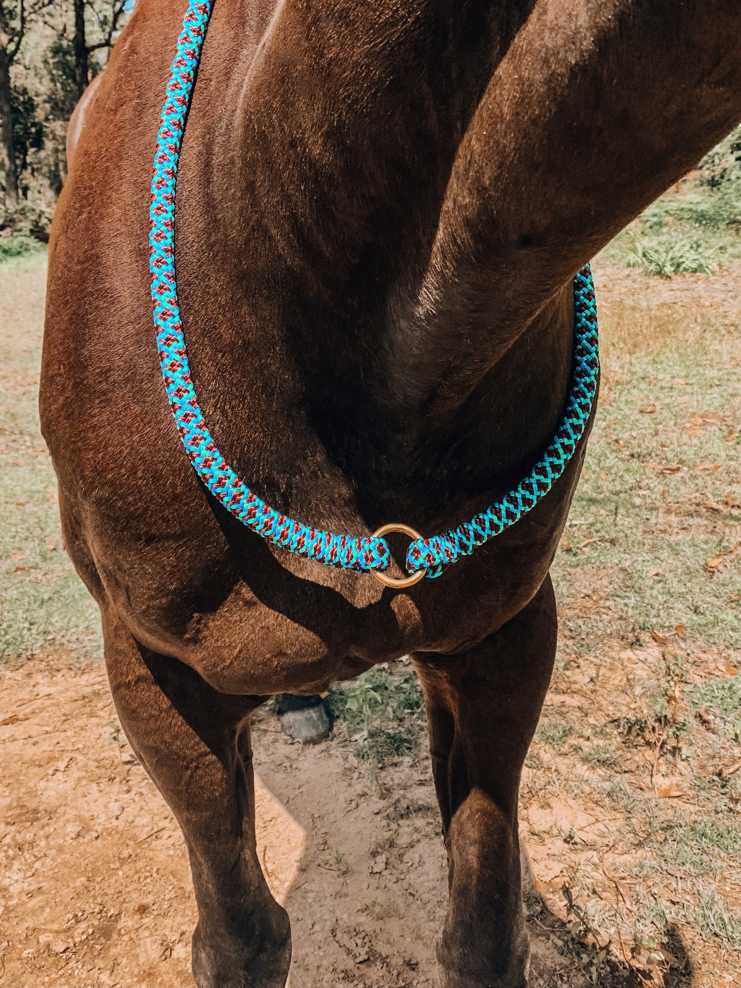 Halo Neck Rope - "Peacock" freeshipping - Wild Rider