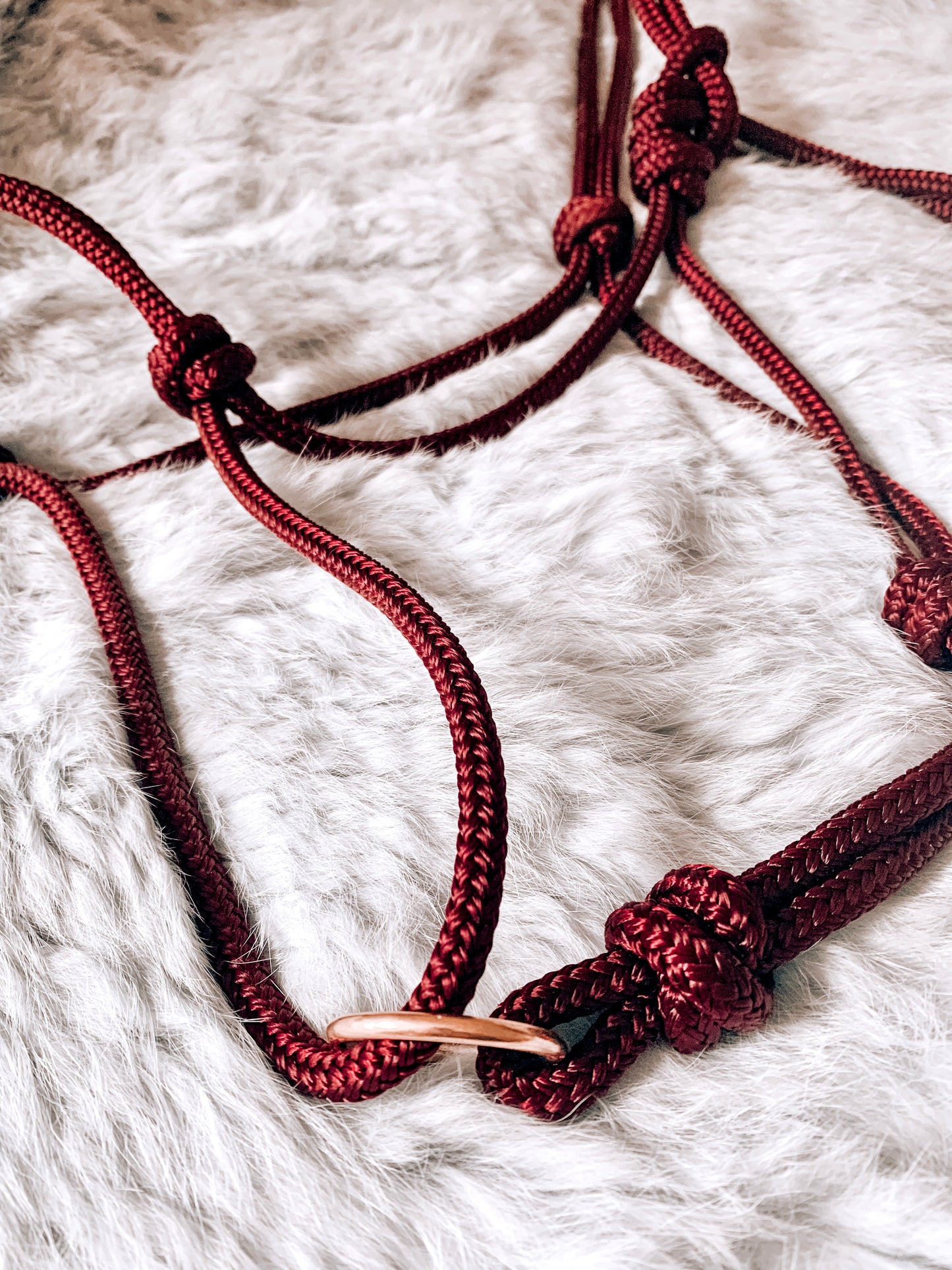 Halo Halter