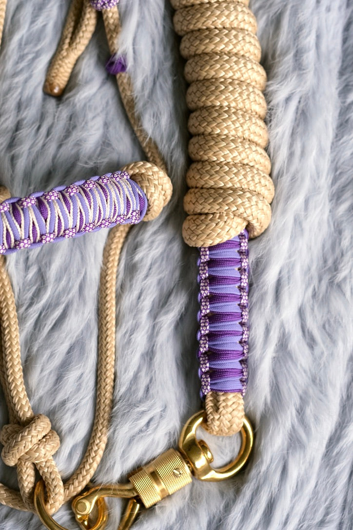 Frankie Halo Halter and Lead Set