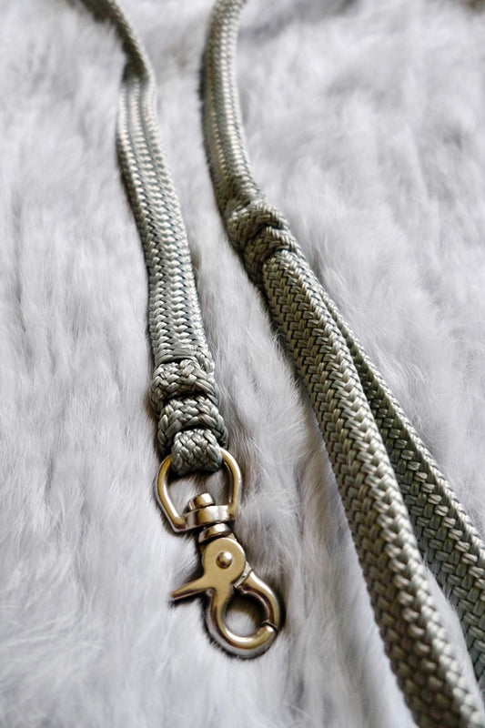 Flat Braid Dog Lead - MOONSTONE