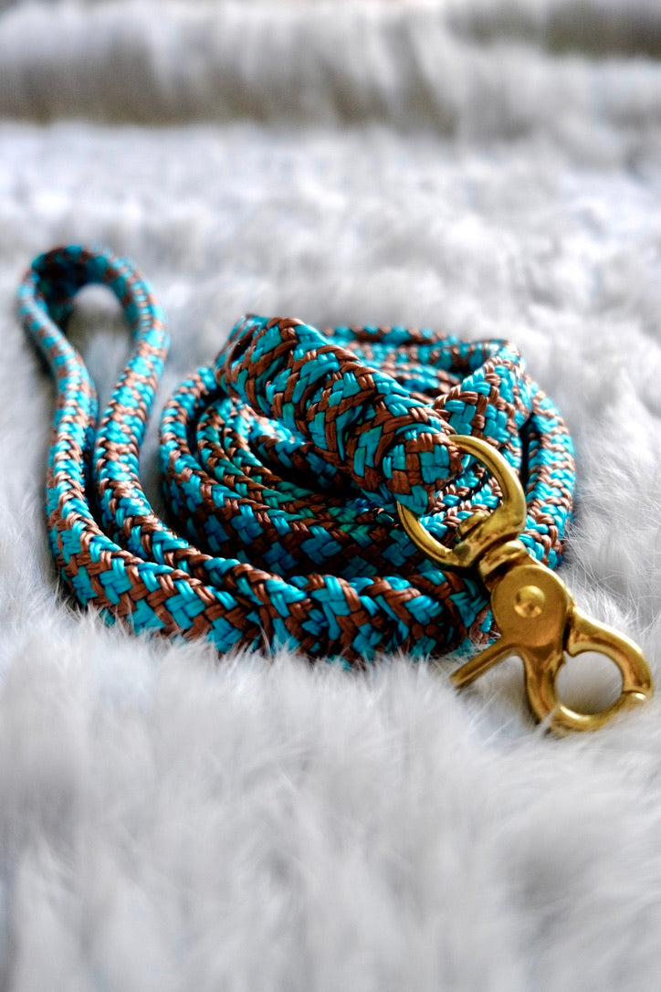 Flat Braid Dog Lead - KINGFISHER