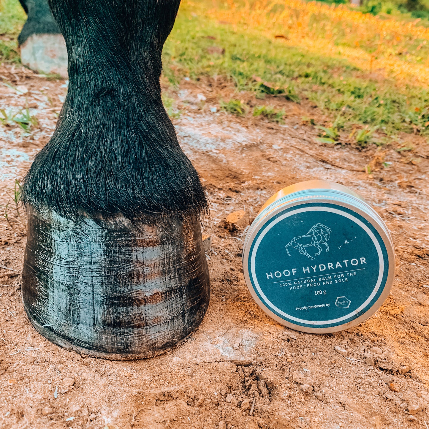 Hoof Hydrator freeshipping - Wild Rider
