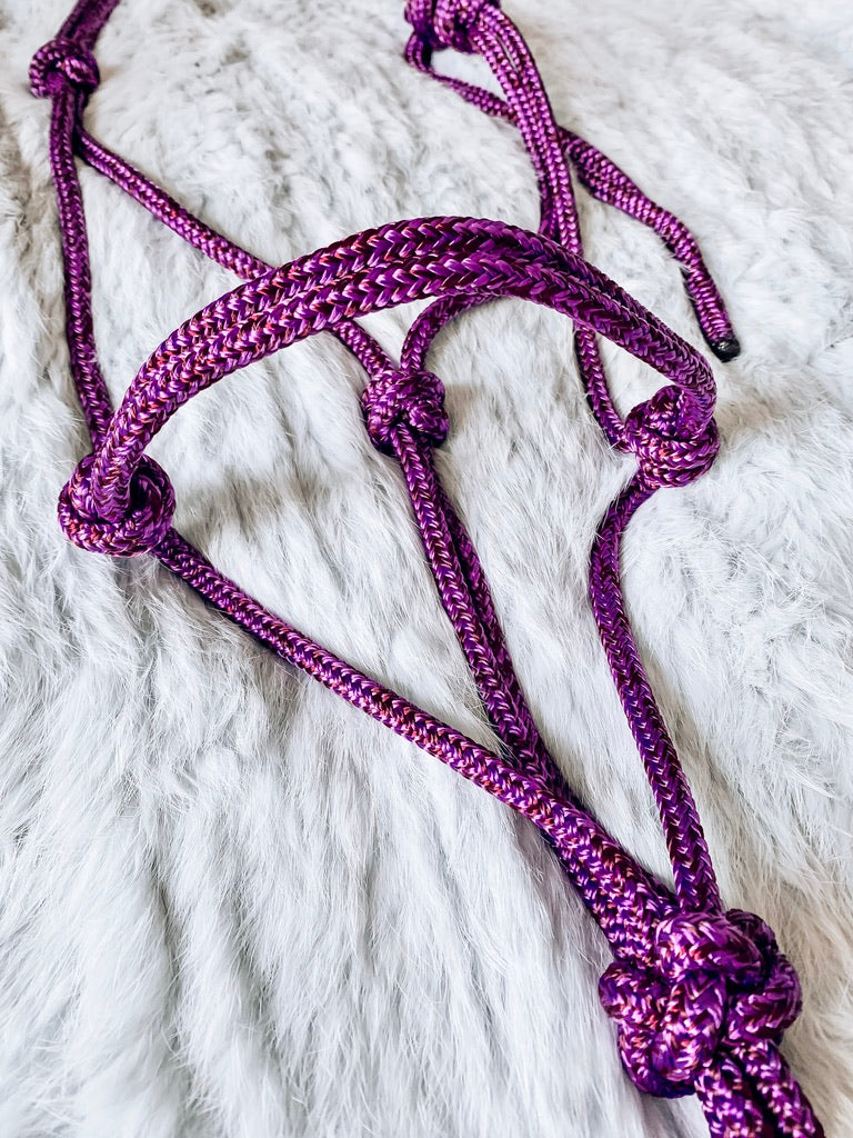 Standard Rope Halter