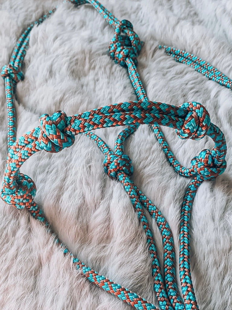 4 Knot Halo Halter