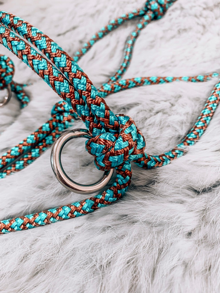 Standard Sidepull Halter with rings