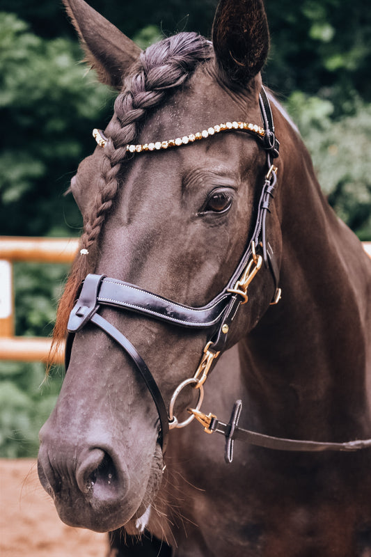 Golden Bridle - In Stock AUS