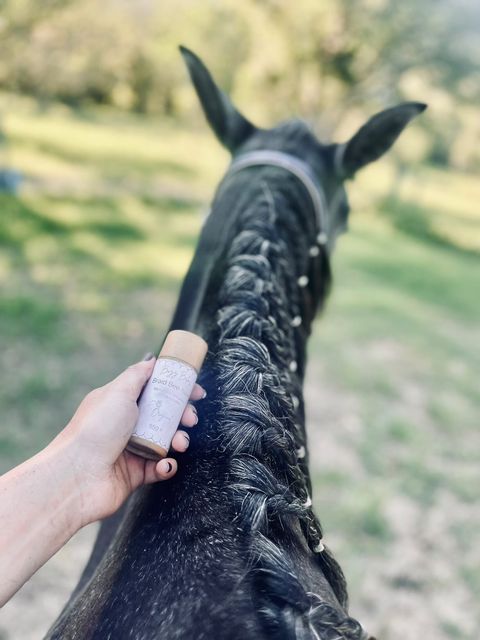 Braid Bee-Have freeshipping - Wild Rider