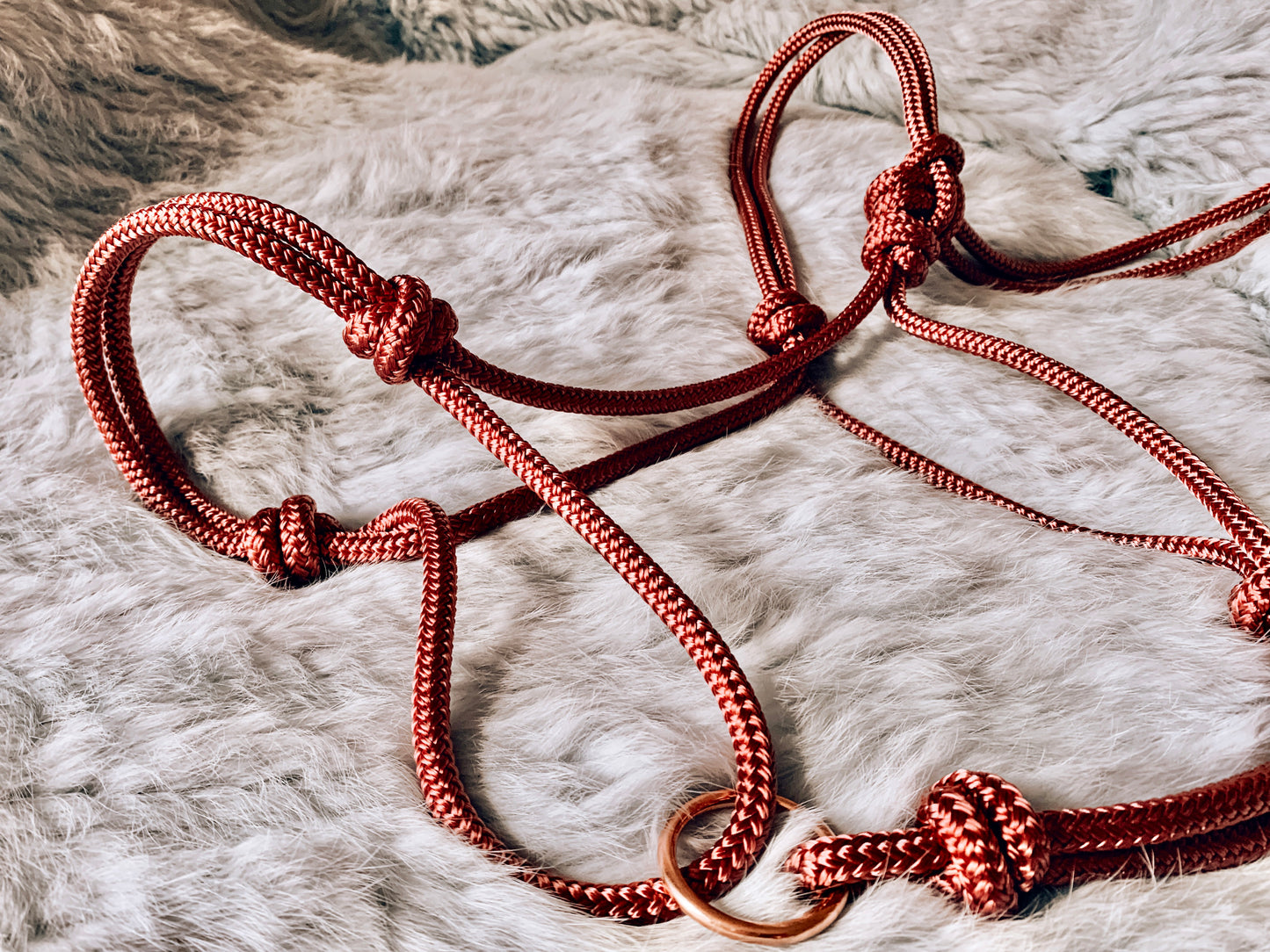 Halo Halter
