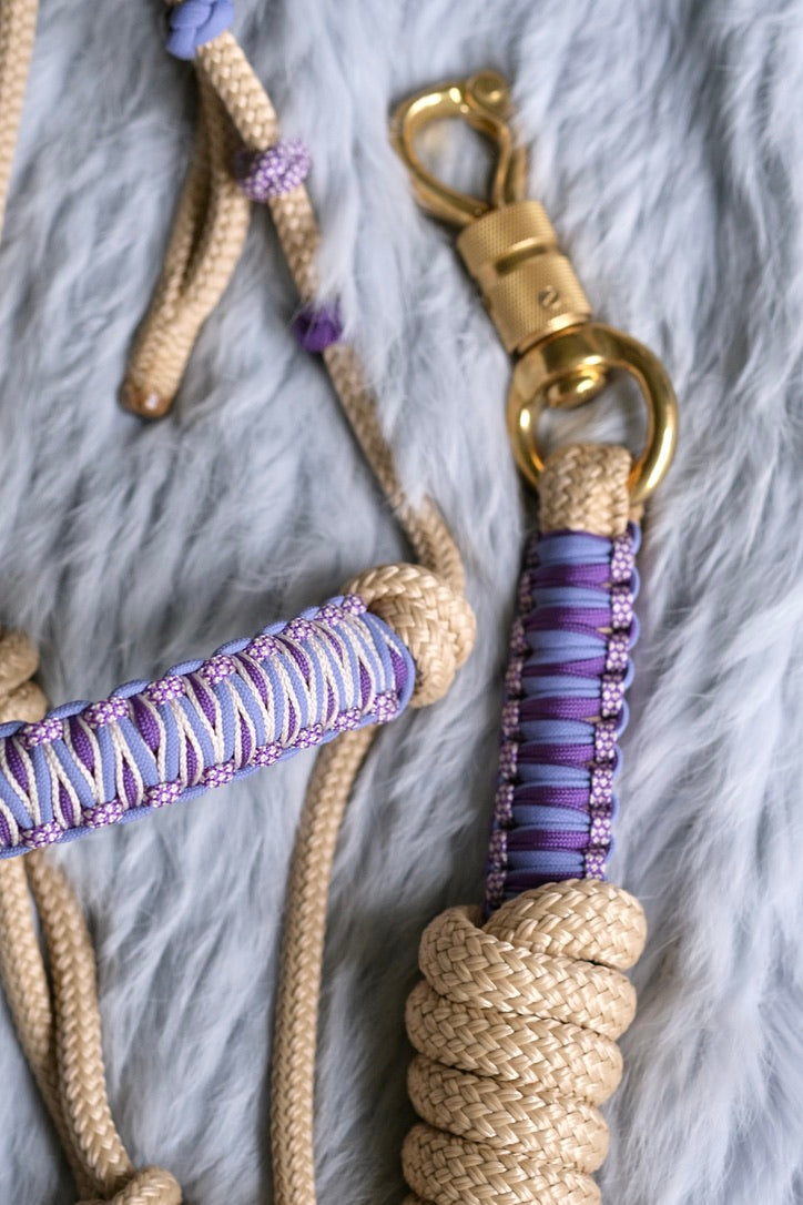 Frankie Halo Halter and Lead Set