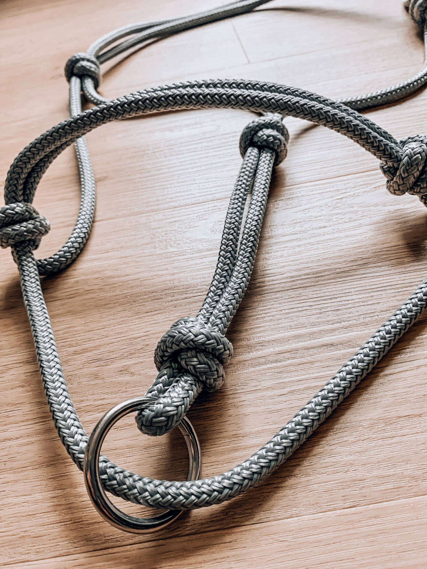 A gray halo halter with a metal ring under the chin, designed for horse training.