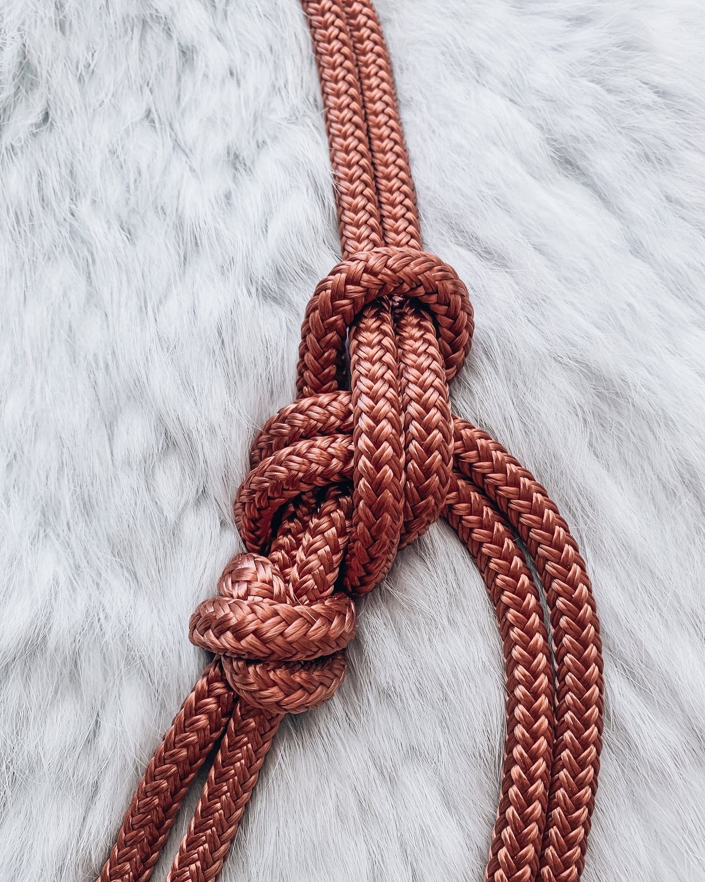 4 Knot Halo Halter