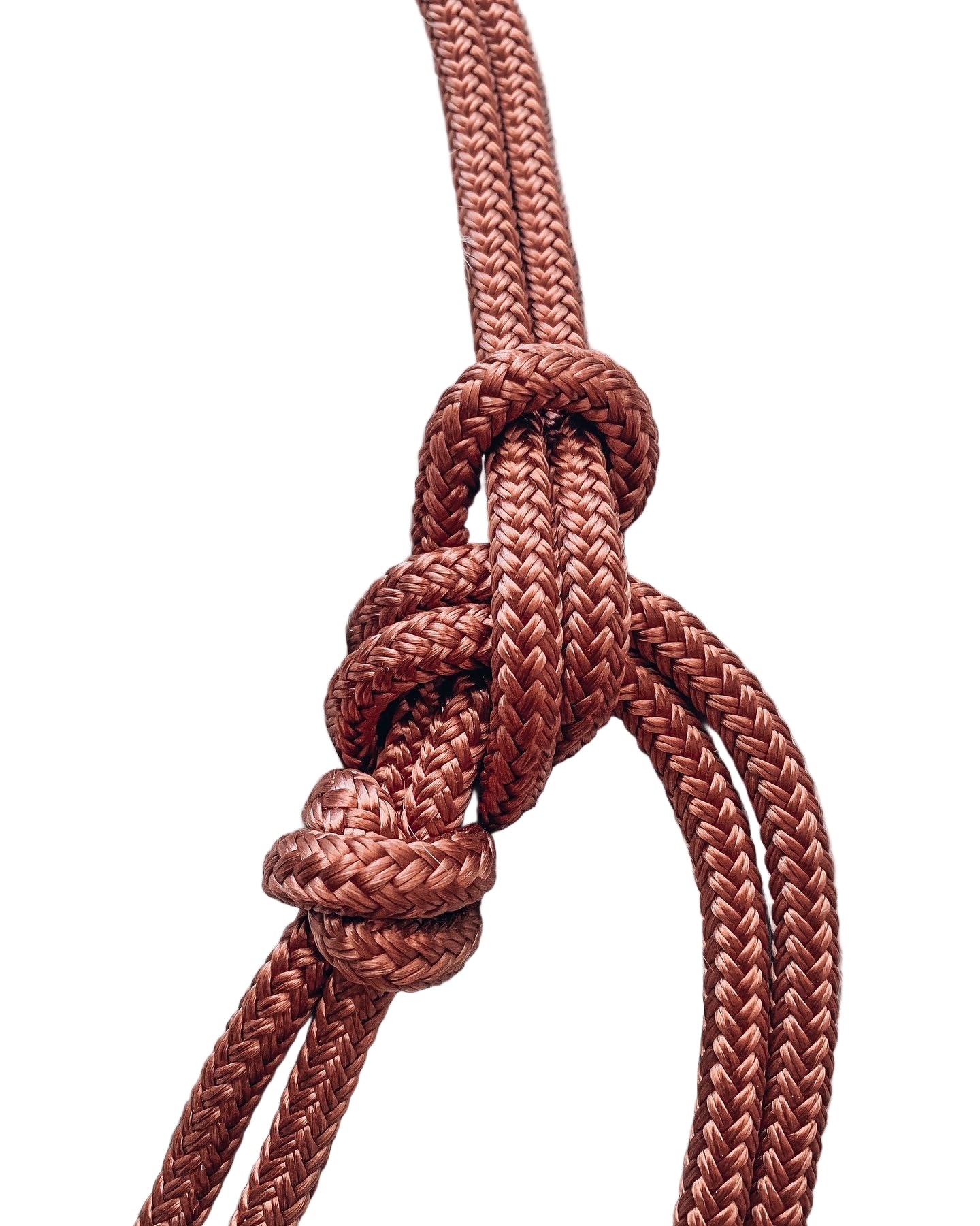 Standard Rope Halter