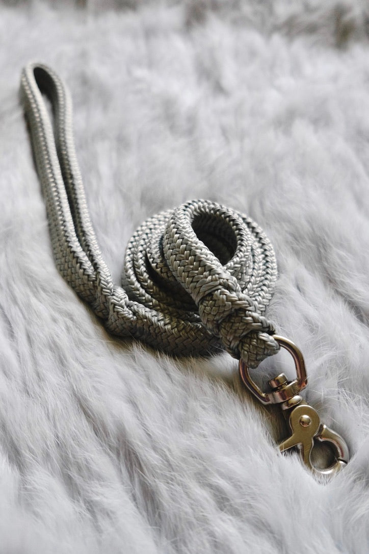 Flat Braid Dog Lead - MOONSTONE