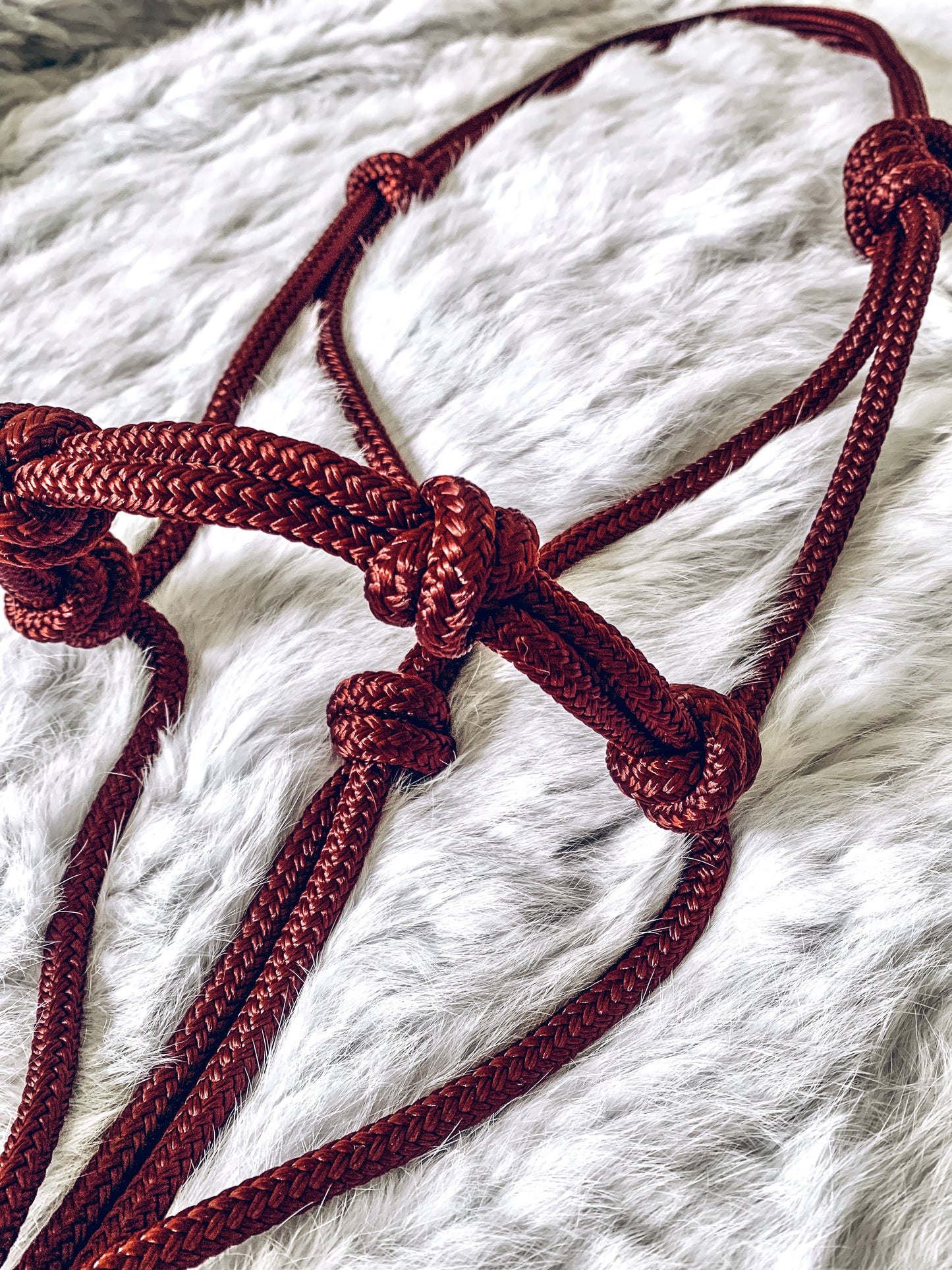 4 Knot Rope Halter