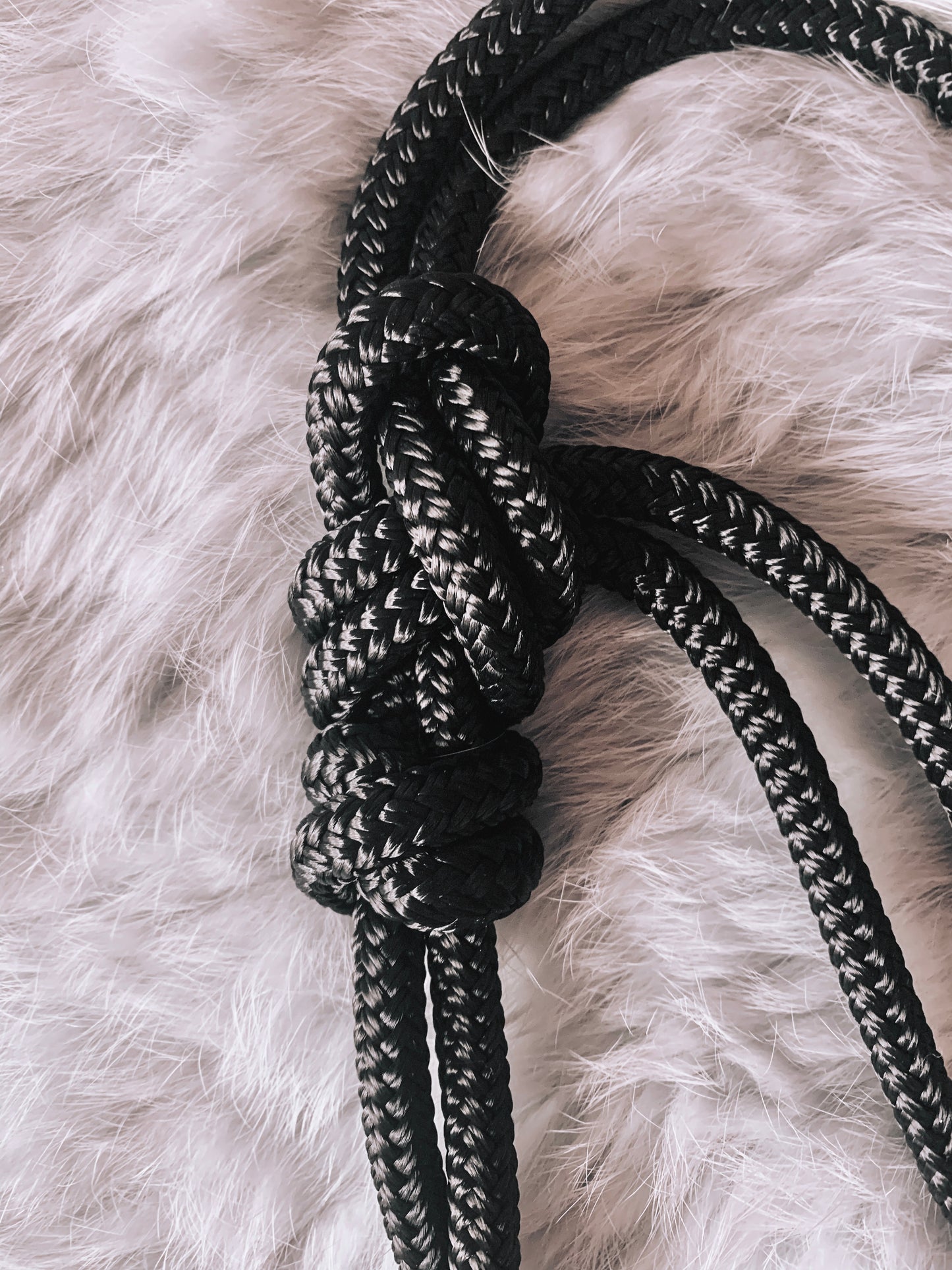 Halo Halter - "BLACK BASALT"