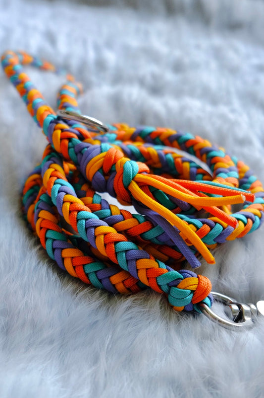 Herringbone Dog Leash - "Hey There Sunshine"