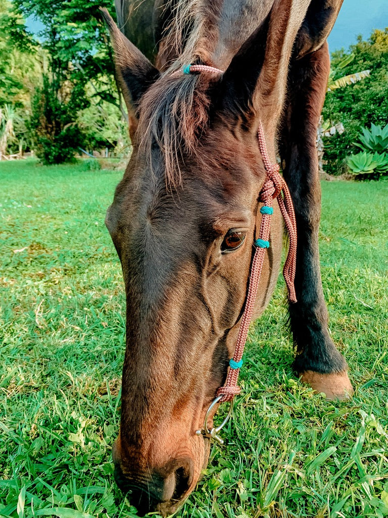 Rope Headstall - Design Your Own