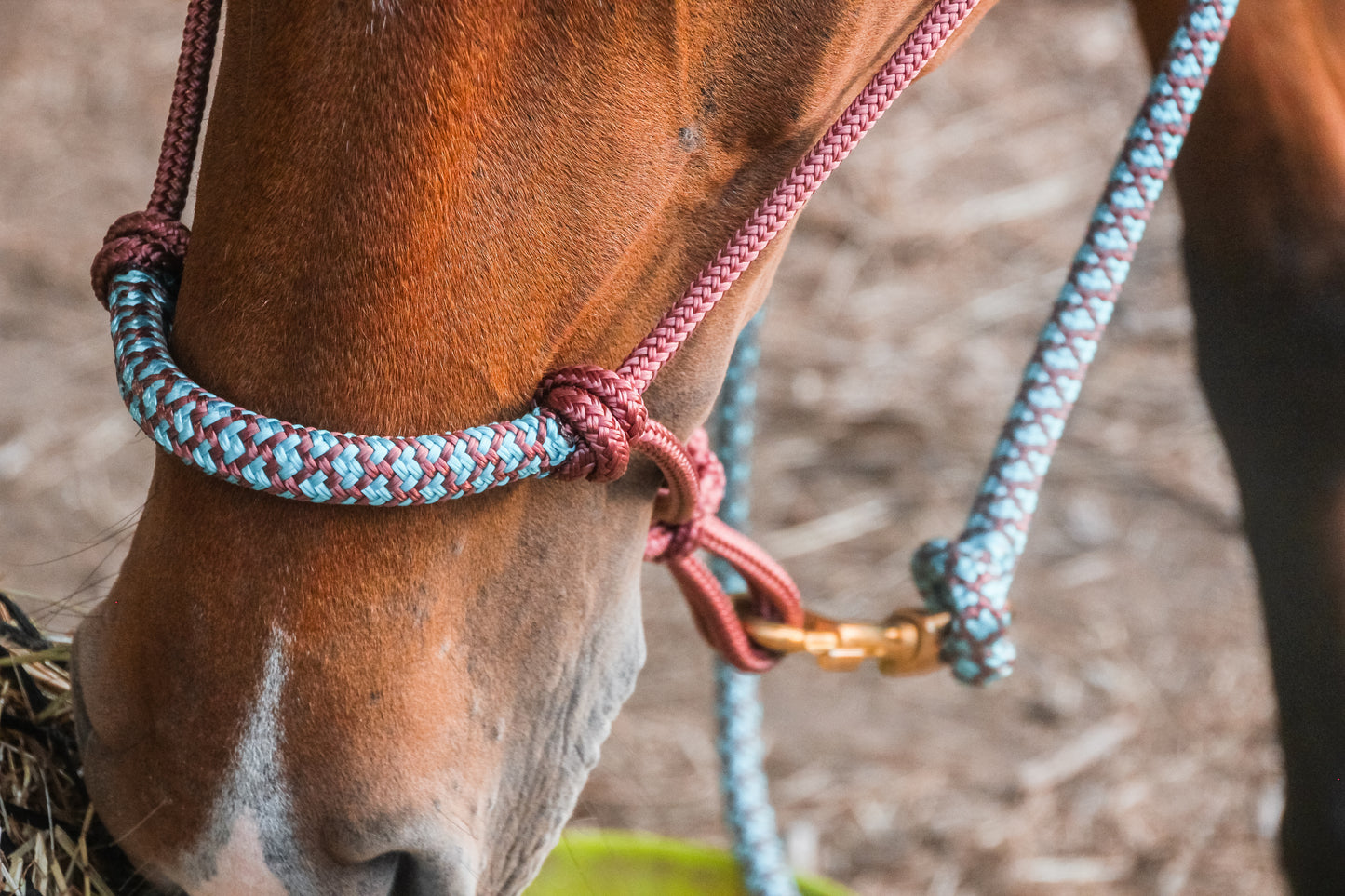 Halo Overlay Halter - "ROSE GOLD X KINGFISHER"
