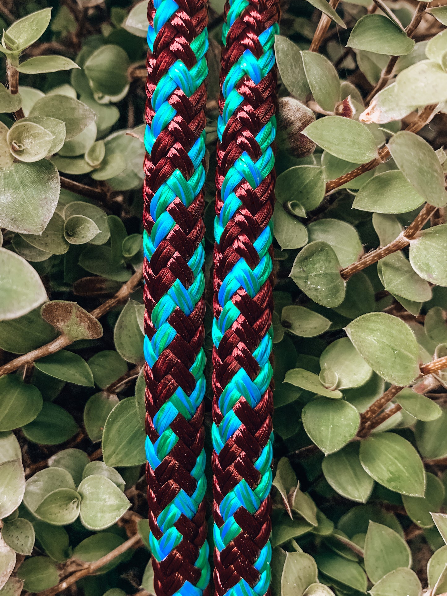 4 Knot Rope Halter - "Peacock" freeshipping - Wild Rider