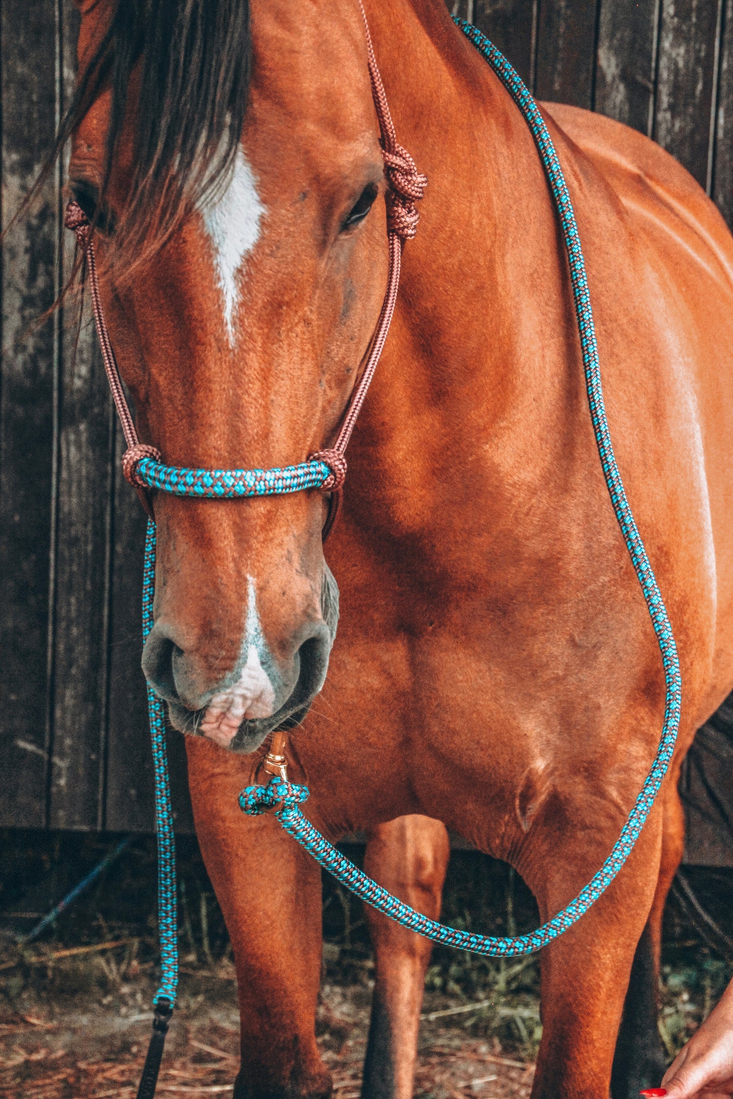 Halo Overlay Halter - "ROSE GOLD X KINGFISHER"