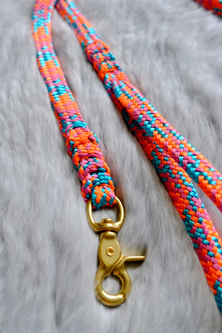 Flat Braid Dog Lead - CHAMELEON