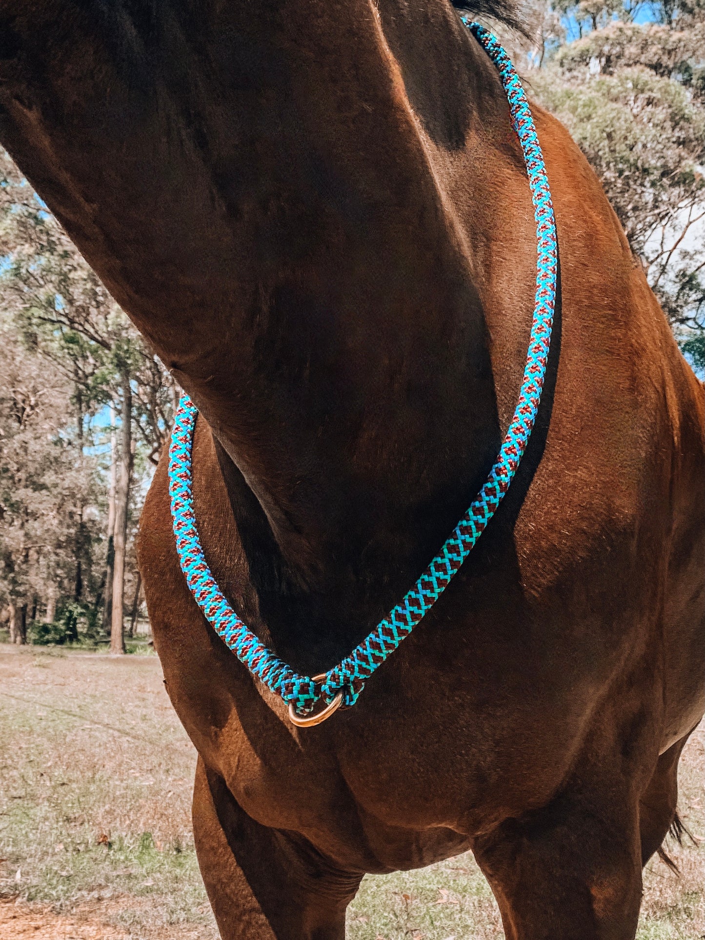 Halo Neck Rope - "Peacock" freeshipping - Wild Rider