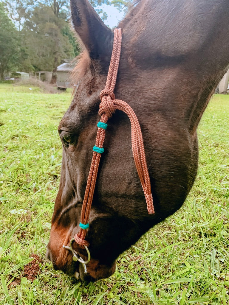 Rope Headstall - Design Your Own