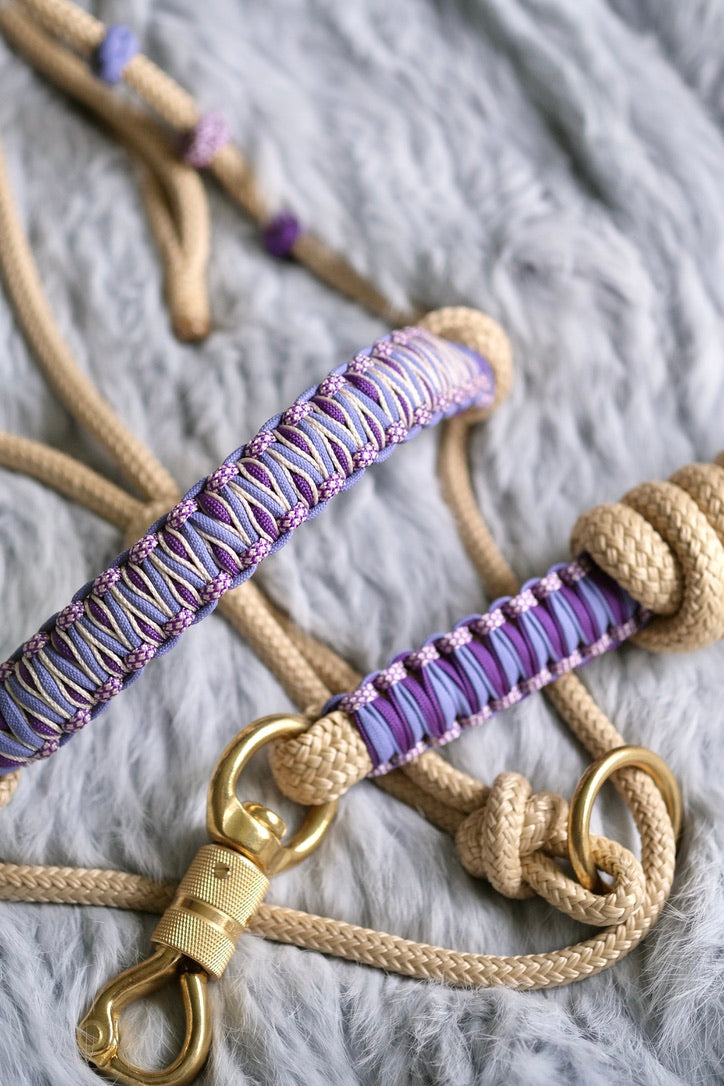 Frankie Halo Halter and Lead Set