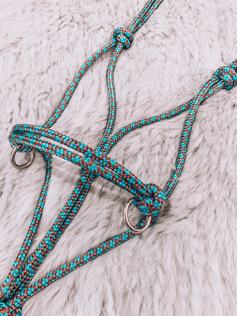 Standard Sidepull Halter with rings