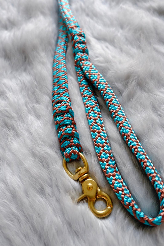 Flat Braid Dog Lead - KINGFISHER