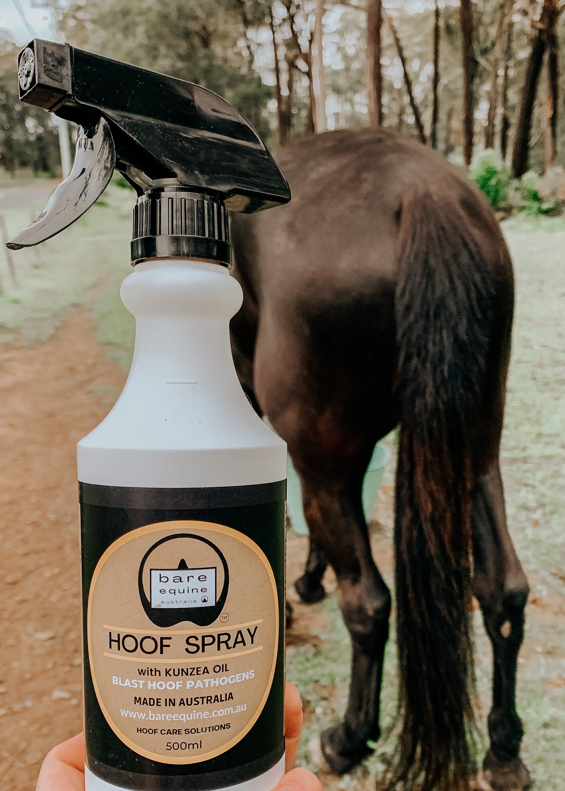 HOOF SPRAY - Blast Hoof Pathogens freeshipping - Wild Rider