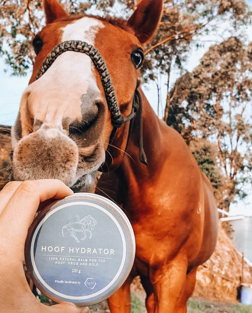 Hoof Hydrator freeshipping - Wild Rider