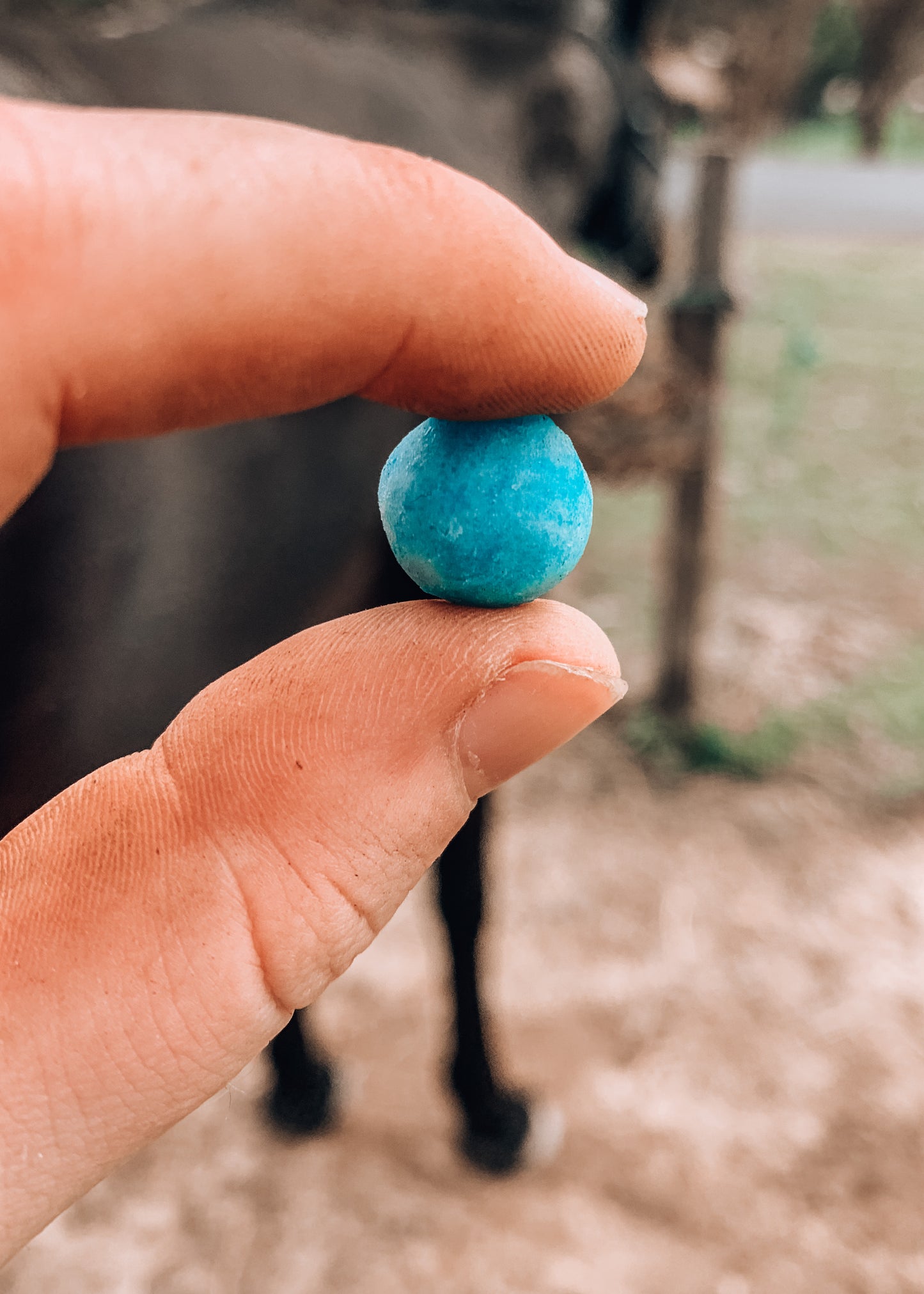 Beeswax Blue Balls - Seedy Toe and White Line Disease freeshipping - Wild Rider