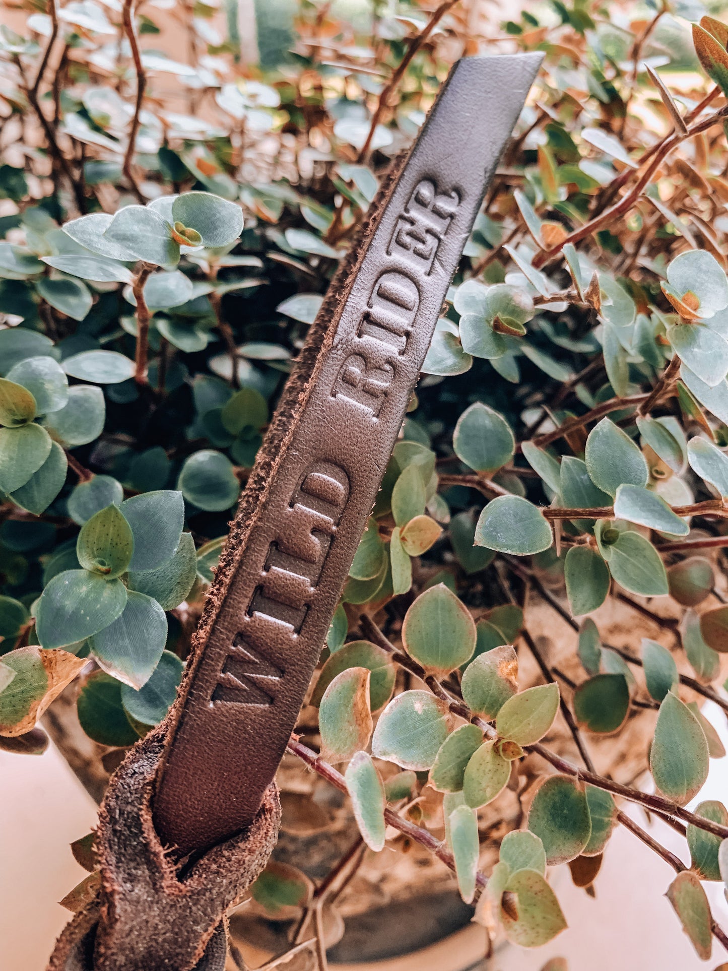 Wild Rider Lunge Line - Design Your Own - "KINGFISHER"