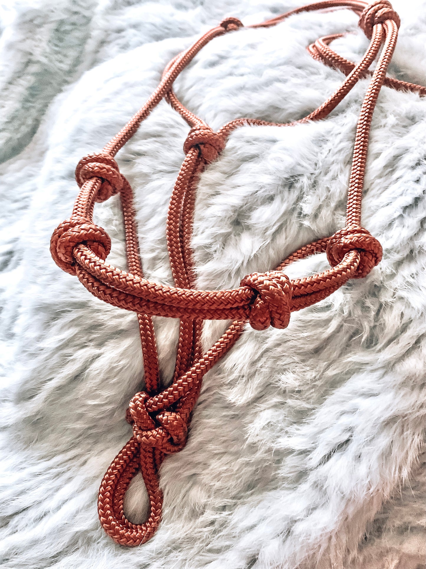 4 Knot Rope Halter