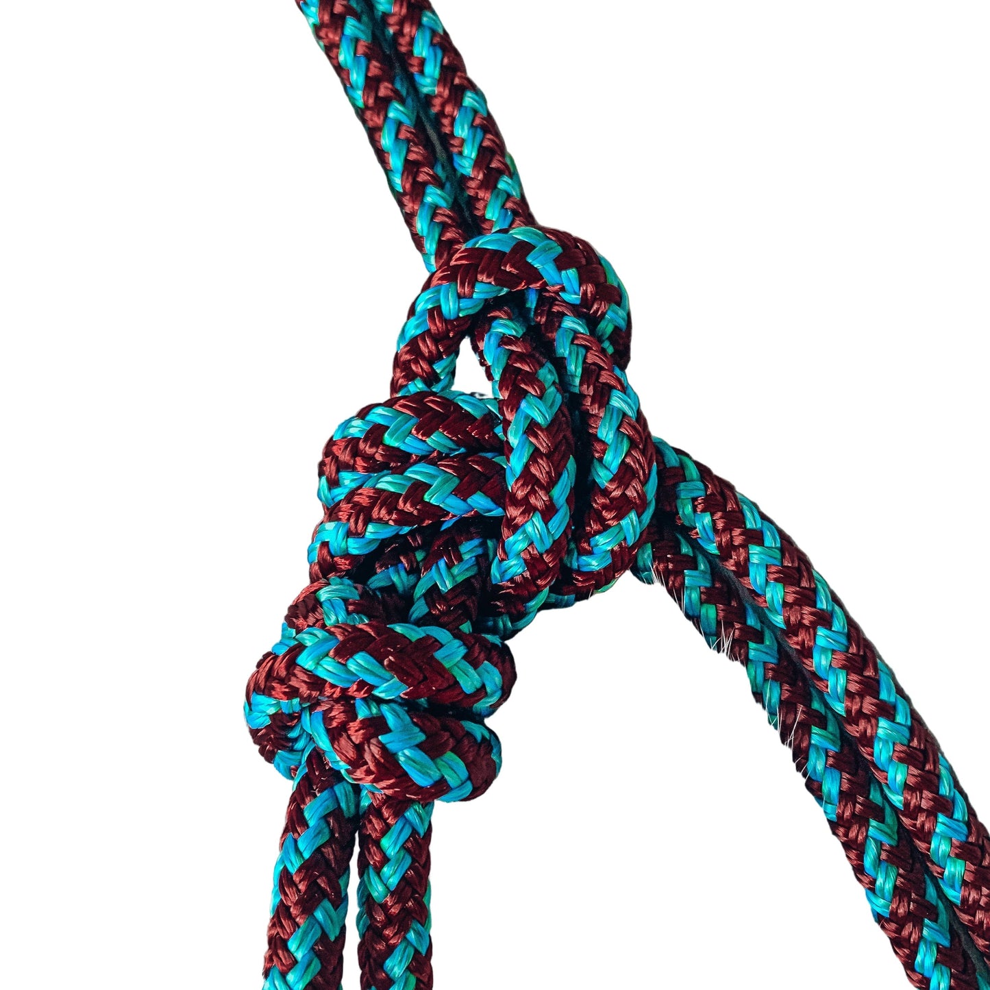 Halo Knotless Halter "Peacock" /in stock