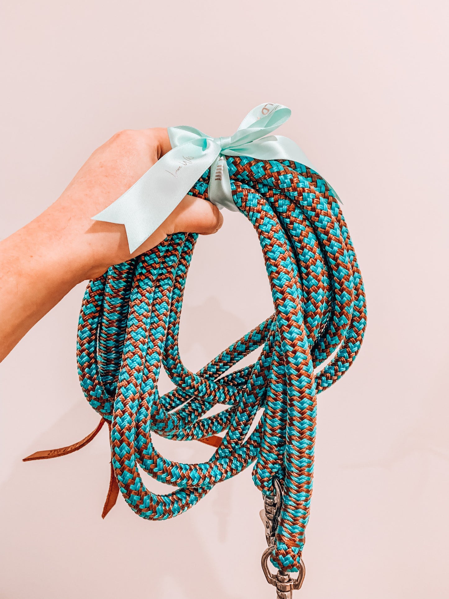 Split Reins - Clip ons - "HUMMINGBIRD"