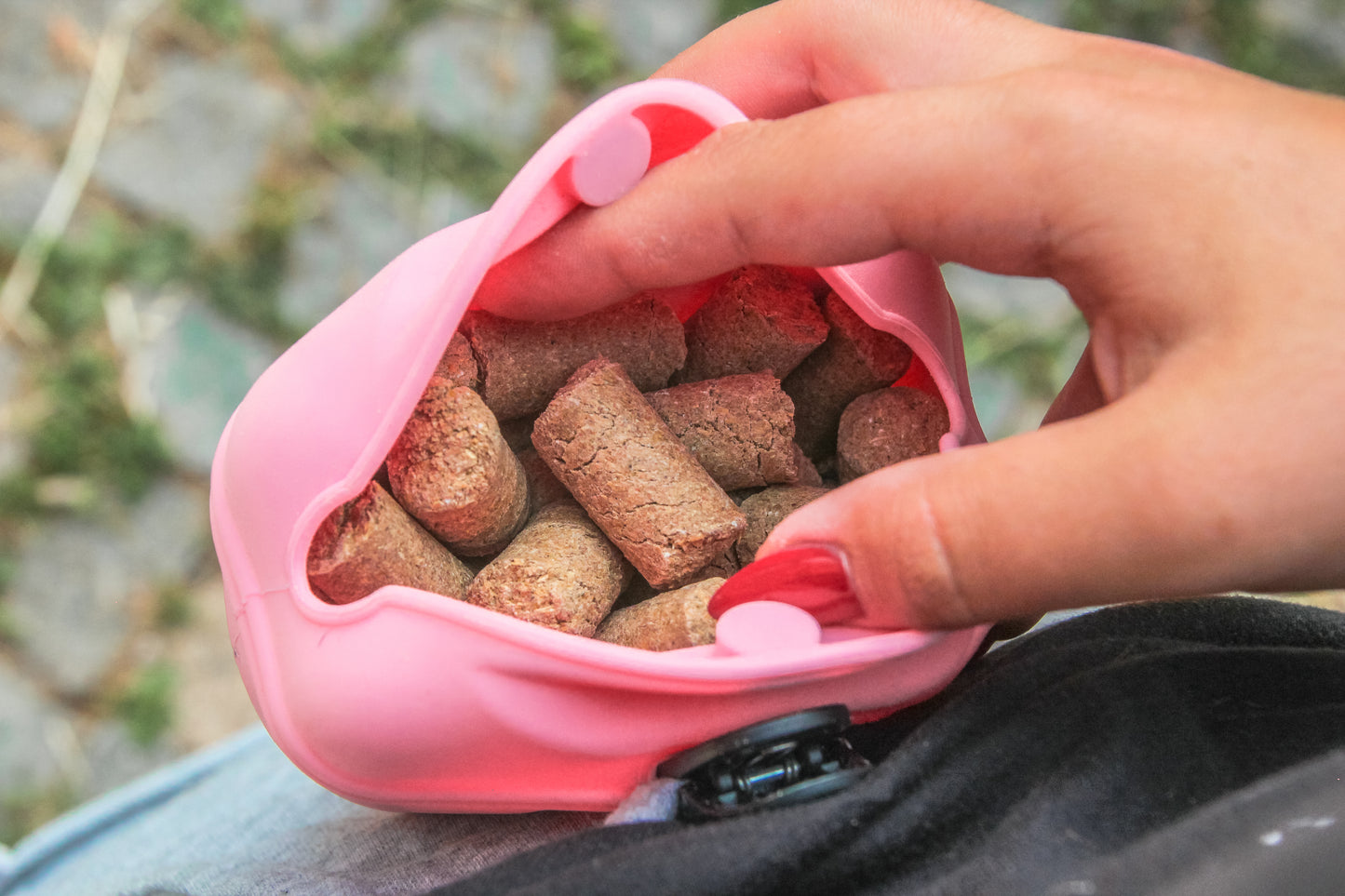 Training Pouch