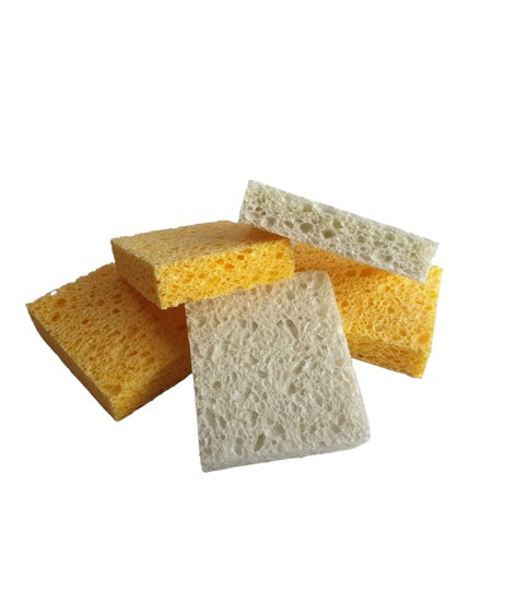 Cellulose Applicator Sponge freeshipping - Wild Rider