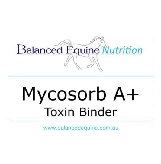 Mycosorb A+