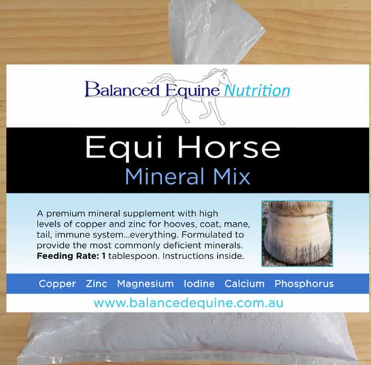 Equihorse