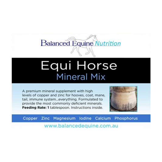 Equihorse