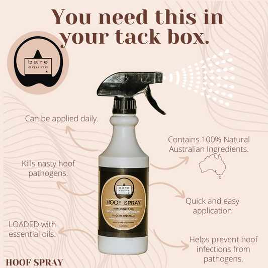 HOOF SPRAY - Blast Hoof Pathogens freeshipping - Wild Rider