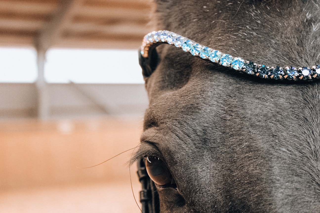 Swarovski Browband "Frosty Sapphire" Brown FULL - In Stock in AUS