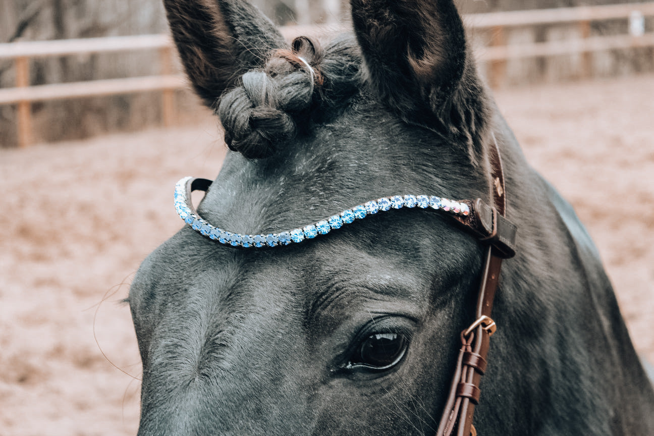 Swarovski Browband "Frosty Sapphire" Brown FULL - In Stock in AUS